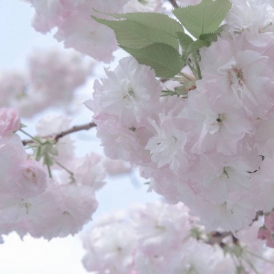 Furry兽设创作灵感Furry群